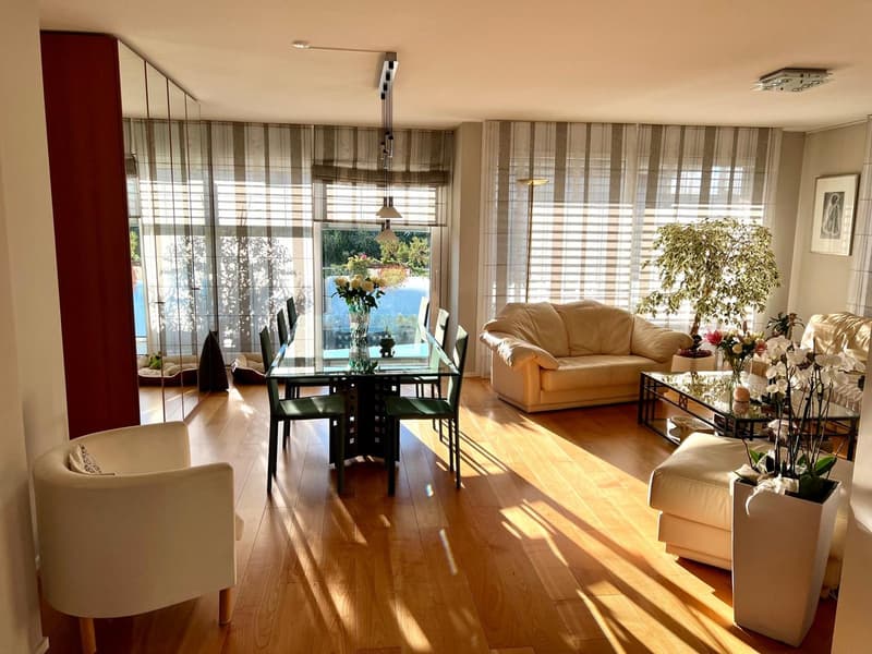 Spacieux appartement duplex en attique de 5.5 pièces à louer (1)