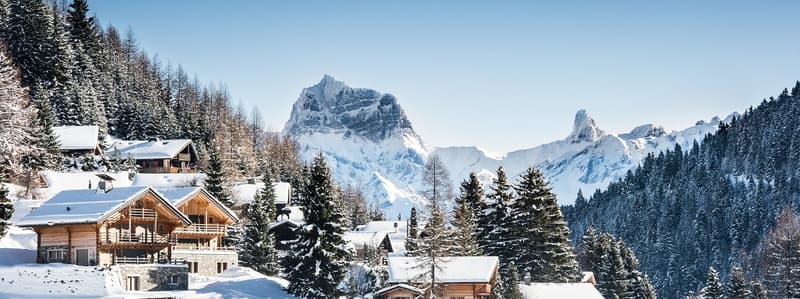 Appartements de 3,5 pièces à Morgins / Résidence secondaire (10)