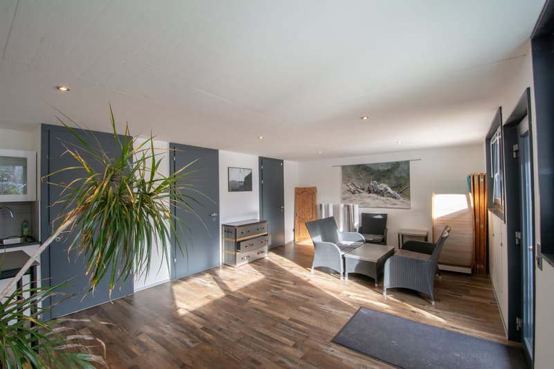 Chalet individuel / maison d’hôtes aux Vérines (Chamoson) (3)