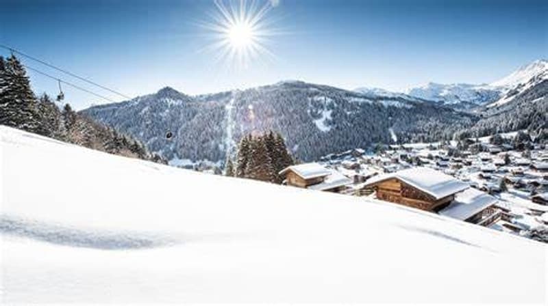 Appartements de 3,5 pièces à Morgins / Résidence secondaire (12)