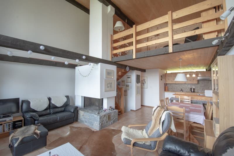 Chalet de 5.5 pièces idéalement situé sur les pistes à Gryon (2)