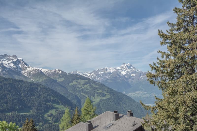 Appartement en triplex de 5.5 pièces idéalement situé sur les pistes à Gryon (17)
