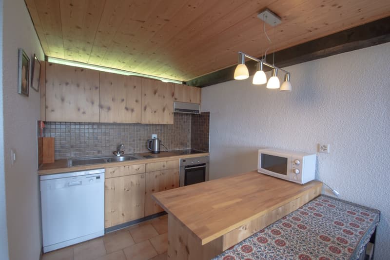 Appartement en triplex de 5.5 pièces idéalement situé sur les pistes à Gryon (9)