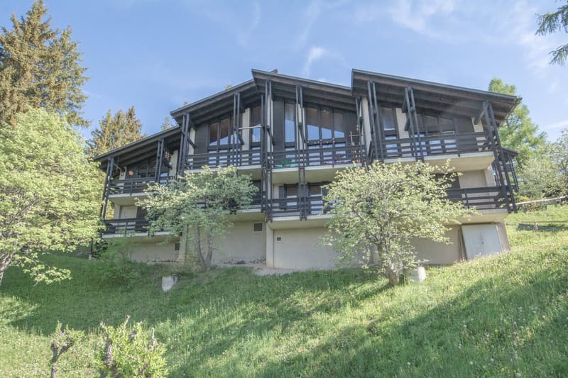 Appartement en triplex de 5.5 pièces idéalement situé sur les pistes à Gryon (15)