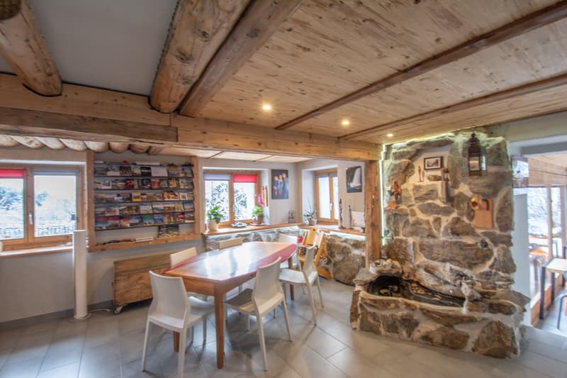 Grand chalet individuel  avec un appartement de 3.5 pièces attenant (6)