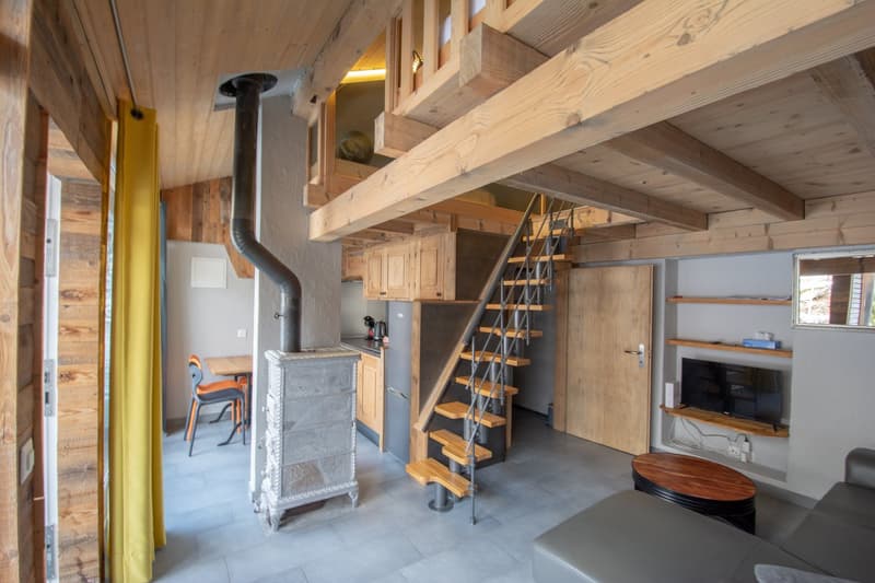 Grand chalet individuel  avec un appartement de 3.5 pièces attenant (27)