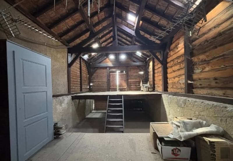 Charmante maison mitoyenne début XXème à Corsier (5)