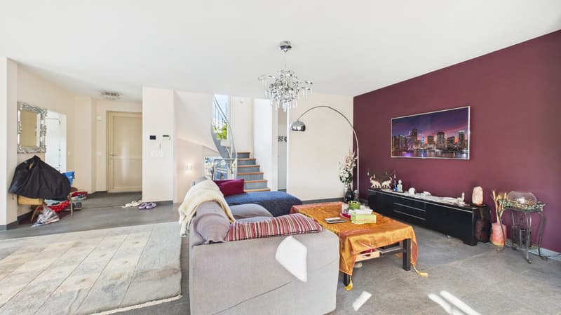 Magnifique maison de 6 pièces à Corsier GE (6)
