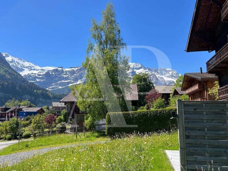 Magnifique chalet neuf sur plan au cœur de Champéry (3)