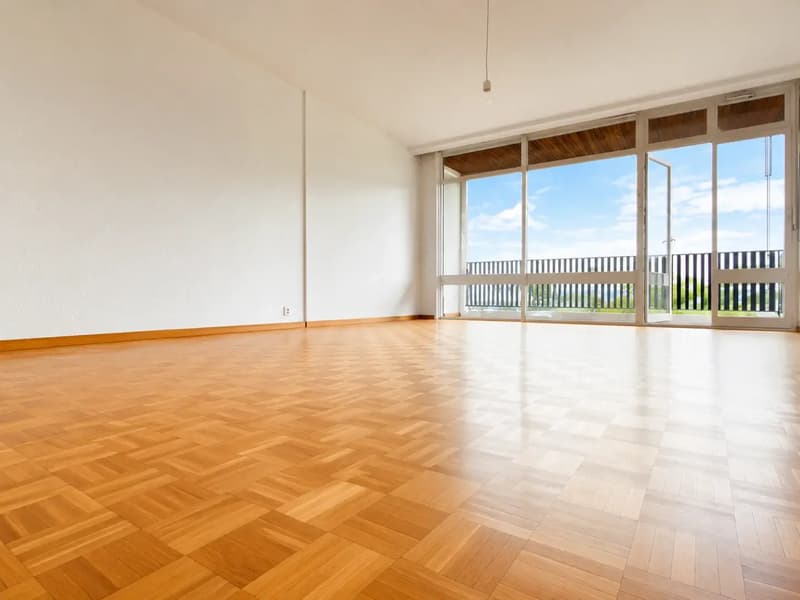 Bel appartement avec piscine et vue sur le Léman (2)