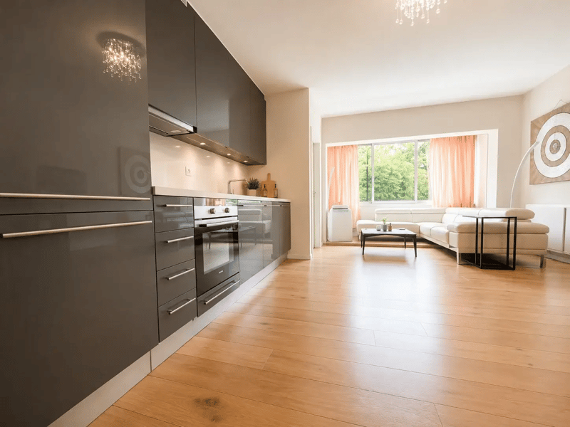 Bel appartement de 2 pièces entièrement meublé (3)