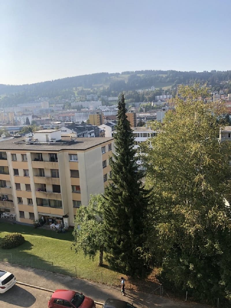 Appartement de 3 pièces avec balcon à La Chaux-de-Fonds (1)