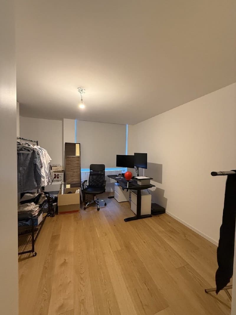 Charmant appartement de 3 pièces au cœur de Genève – Grand-Rue (4)