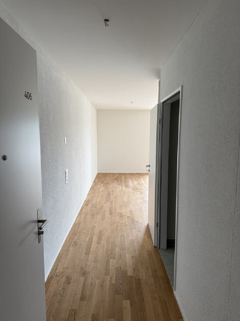 Moderne 3-Zimmer-Wohnung mit Balkon und schöner Aussicht in Muttenz (2)