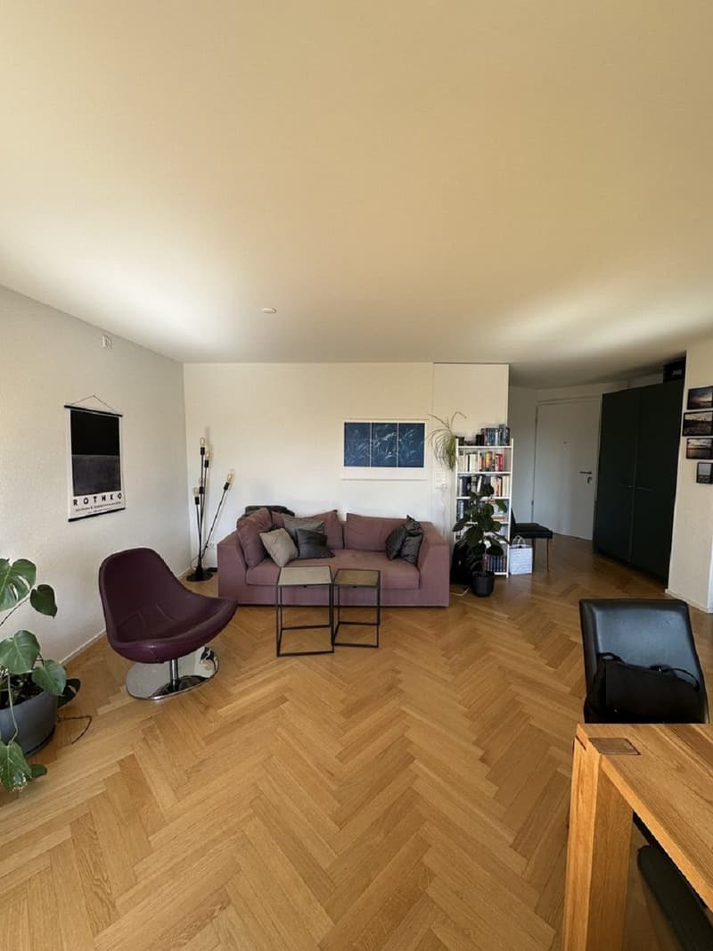 Charmante 2.5-Zimmer-Wohnung an der Langstrasse in Zürich (3)