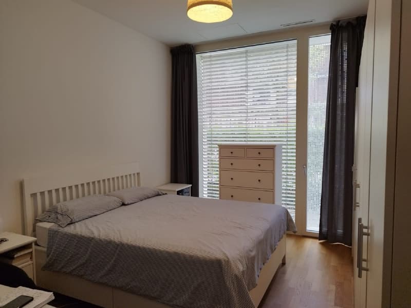 Helle 3-Zimmer-Wohnung mit Balkon in Dietikon – sofort verfügbar! (5)