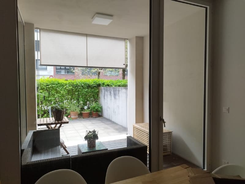 Helle 3-Zimmer-Wohnung mit Balkon in Dietikon – sofort verfügbar! (3)