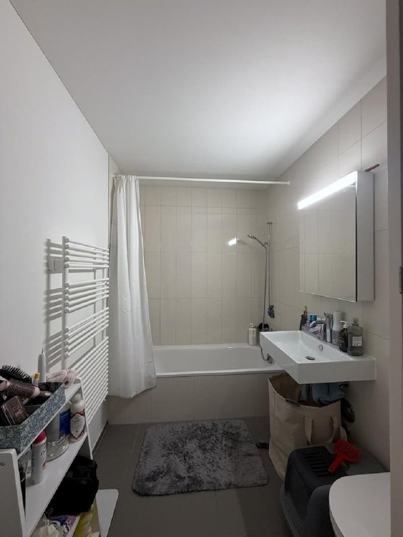 Moderne 2.5-Zimmer-Wohnung mit Balkon und Stadtblick in Zürich-Binz (6)