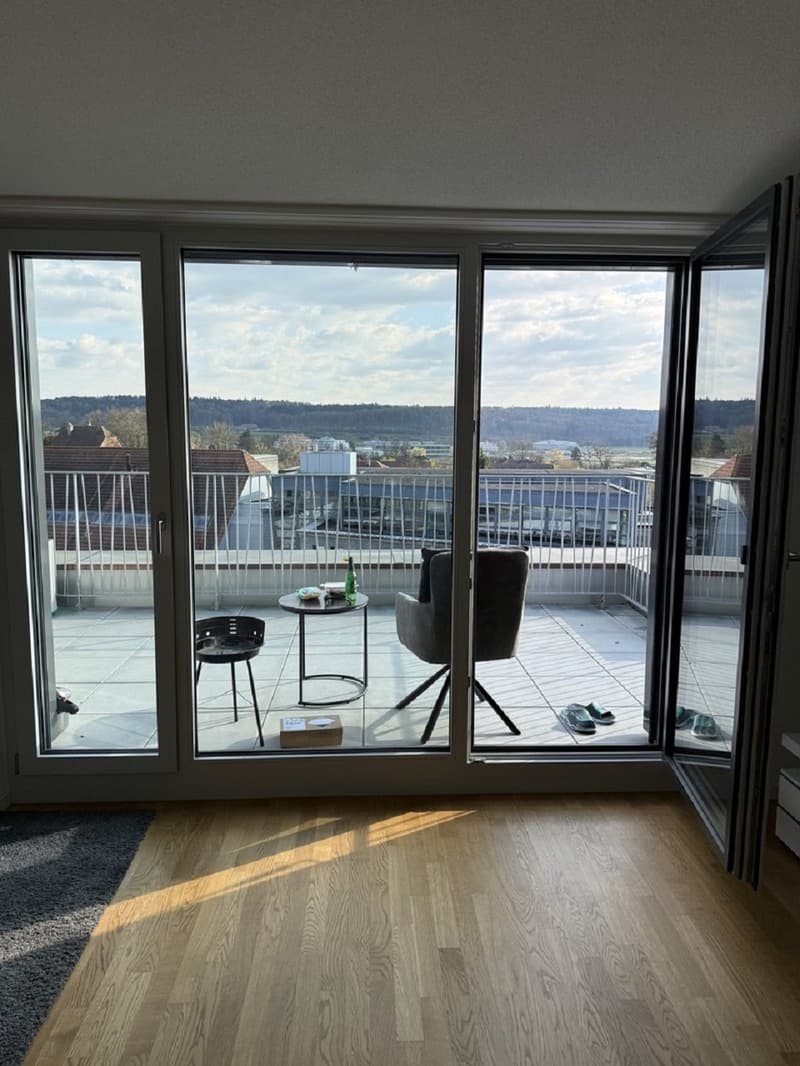 Moderne 1-Zimmer-Wohnung mit Balkon in Solothurn – sofort verfügbar! (1)