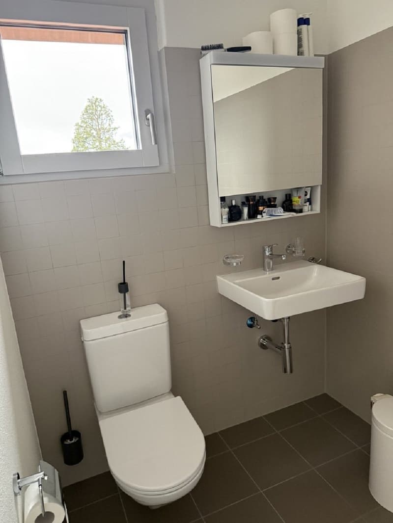 Moderne 1-Zimmer-Wohnung mit Balkon in Solothurn – sofort verfügbar! (10)