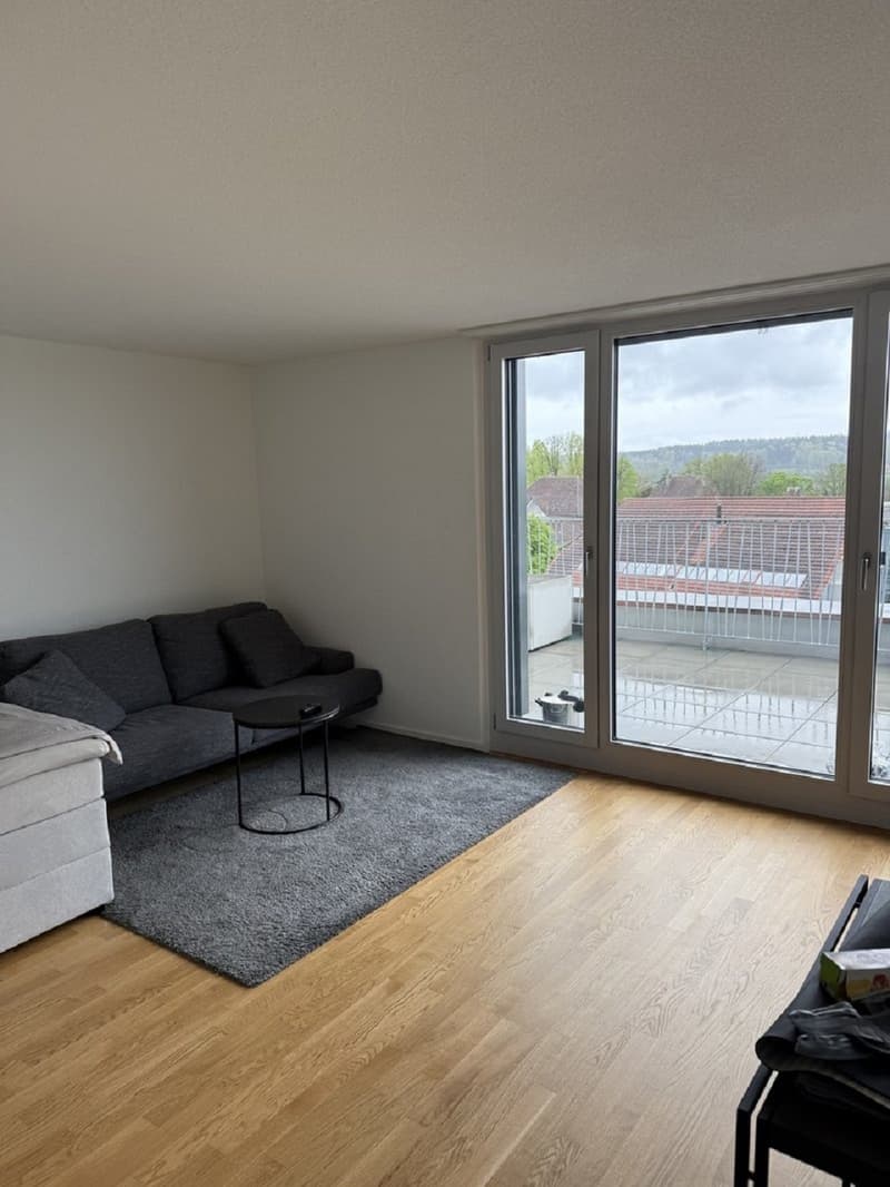 Moderne 1-Zimmer-Wohnung mit Balkon in Solothurn – sofort verfügbar! (8)