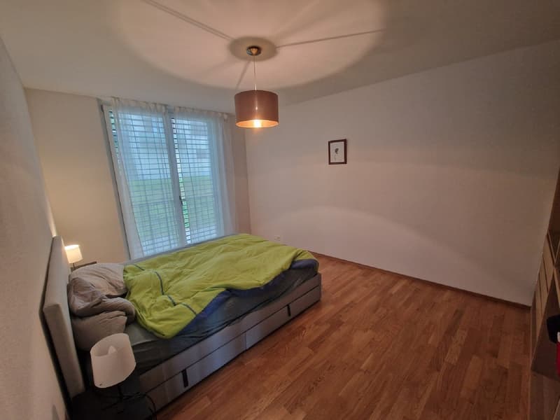 Helle 2.5-Zimmer-Wohnung mit Balkon in Luzern – sofort verfügbar! (6)