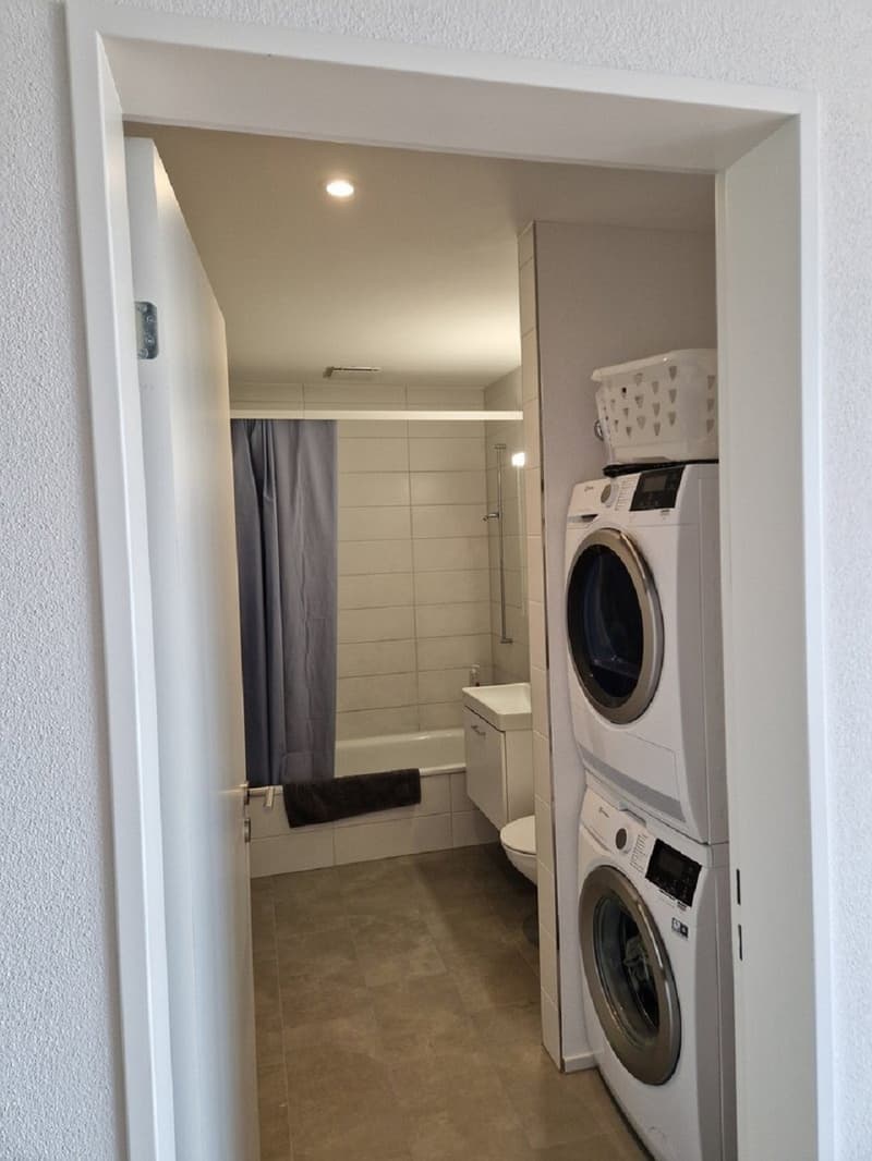 Helle 2.5-Zimmer-Wohnung mit Balkon in Luzern – sofort verfügbar! (3)