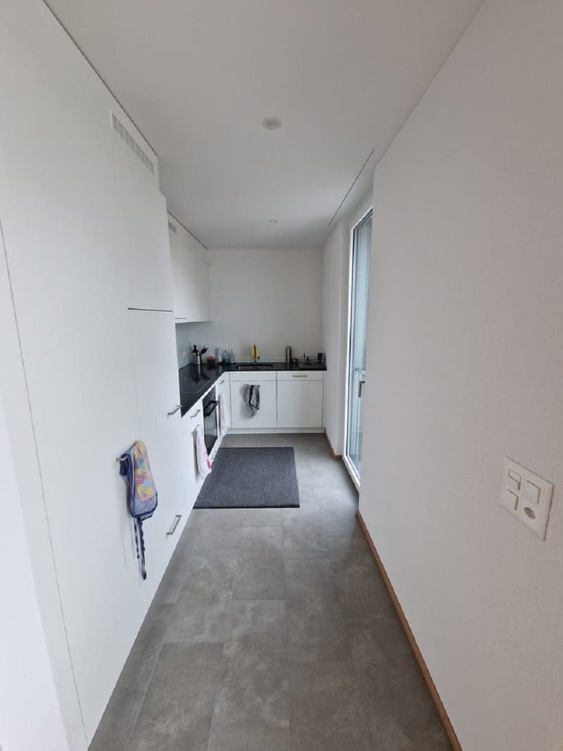 Helle 2.5-Zimmer-Wohnung mit Balkon in Luzern – sofort verfügbar! (7)