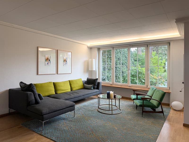 6.5-Zimmer-Doppeleinfamilienhaus mit grossem Garten, Pool und Weitsicht (4)