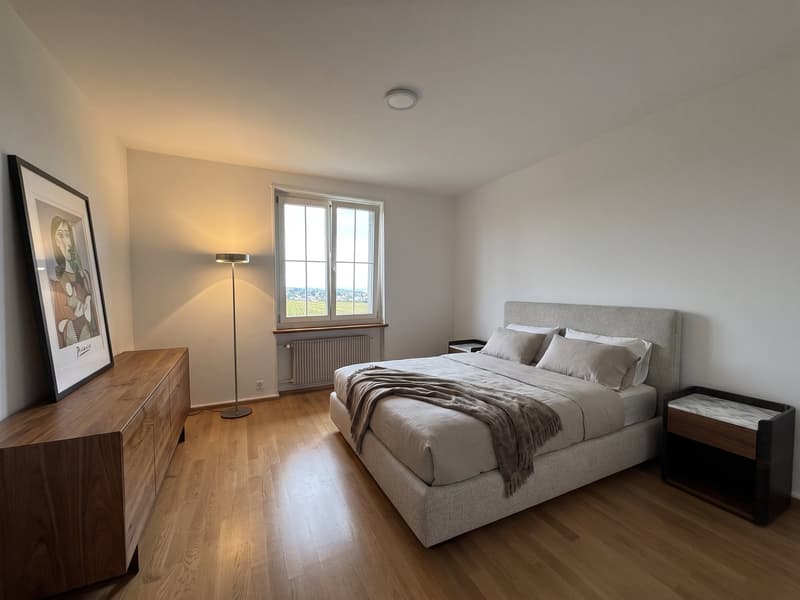 6.5-Zimmer-Doppeleinfamilienhaus mit grossem Garten, Pool und Weitsicht (17)