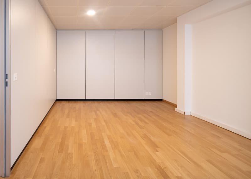 Privates Büro mit grosszügiger Gemeinschaftsfläche zur Mitbenutzung an der Steinenvorstadt in Basel (2)