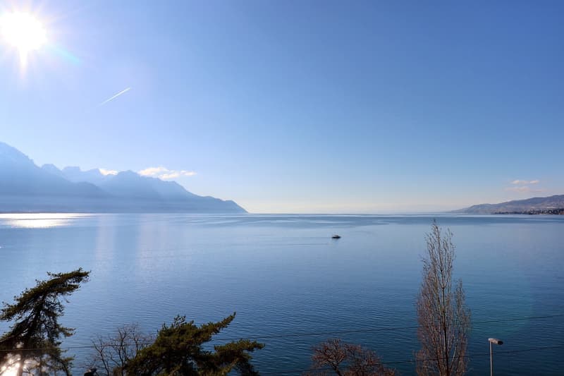 Vue sur le lac Veytaux-5592.jpg