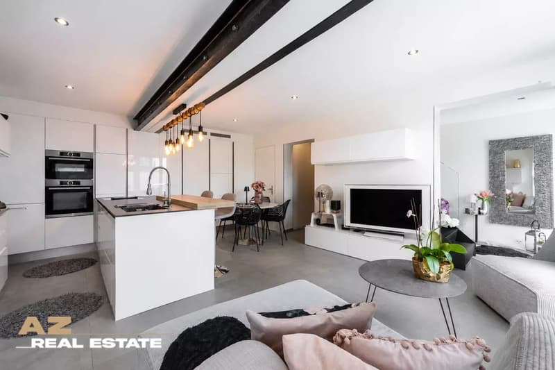 Magnifique Triplex au coeur de Penthaz (3)