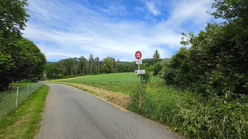6.5-Zi.-Einfamilienhaus mit grossem Garten in Lupsingen (13)