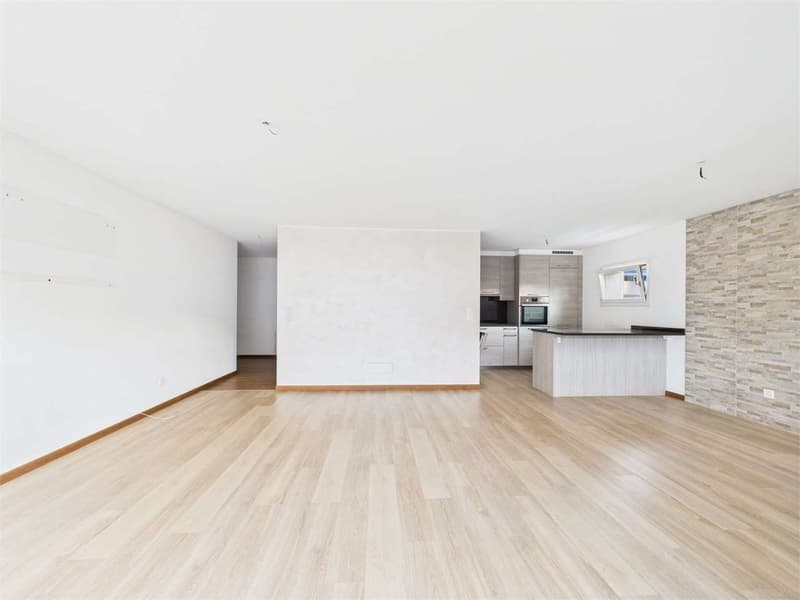 AMPIO E LUMINOSO APPARTAMENTO DI 4,5 LOCALI IN RESIDENZA SIGNORILE (6)