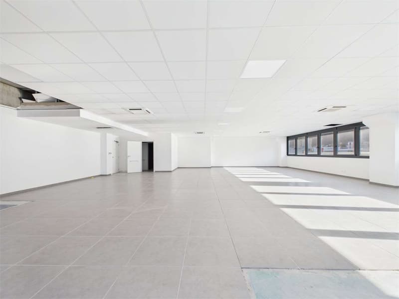 SPAZIO COMMERCIALE CON GRANDE ROOFTOP E 2 POSTI AUTO INCLUSI (13)
