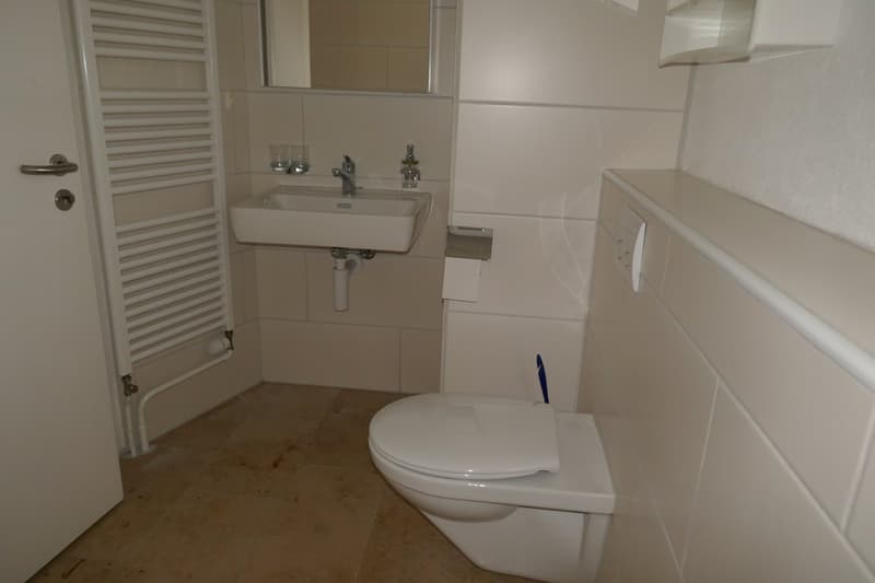 Charmante 4-Zimmer-Maisonette-Wohnung mit Balkon und Seeblick in Ligerz (9)