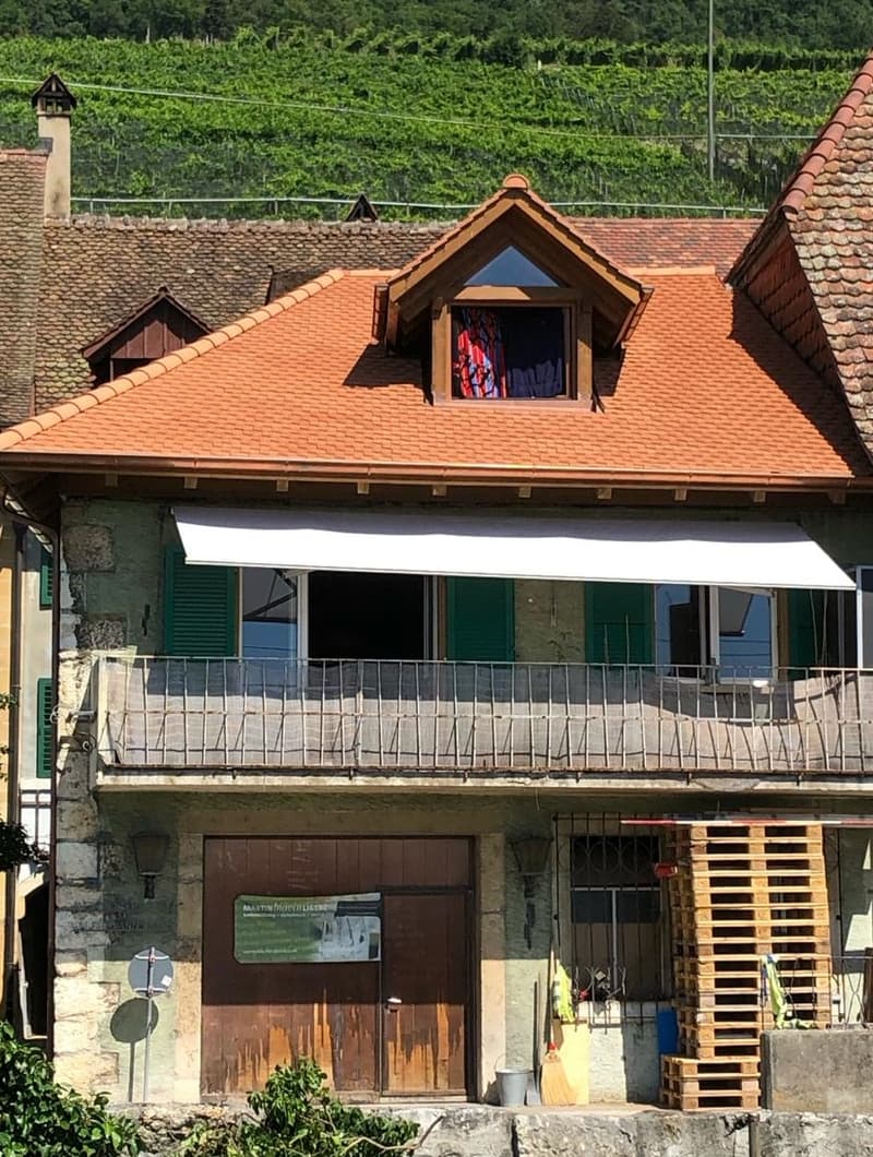 Charmante 4-Zimmer-Maisonette-Wohnung mit Balkon und Seeblick in Ligerz (6)