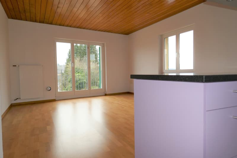 Charmante 4-Zimmer-Maisonette-Wohnung mit Balkon und Seeblick in Ligerz (3)