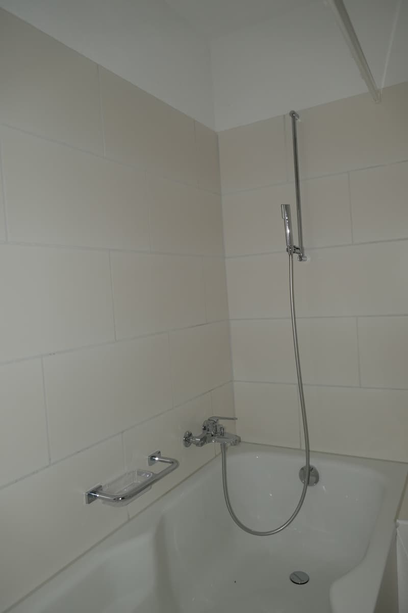 Charmante 4-Zimmer-Maisonette-Wohnung mit Balkon und Seeblick in Ligerz (11)