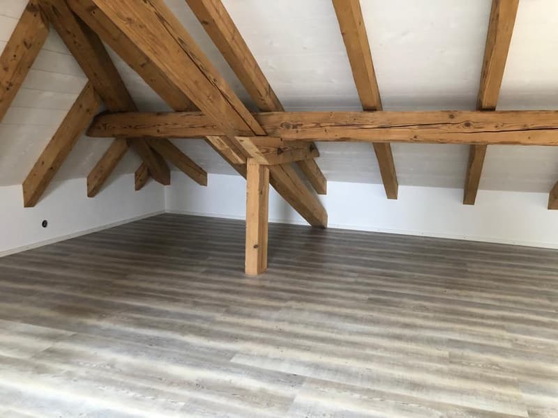 Charmante 4-Zimmer-Maisonette-Wohnung mit Balkon und Seeblick in Ligerz (14)