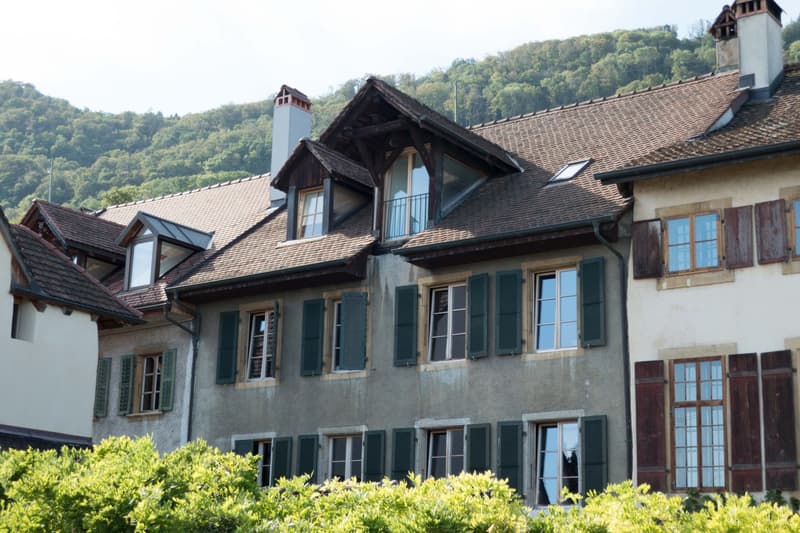 Charmante  3 ½  Zimmer Altbauwohnung mit Seeblick und privater grosser Terrasse in Ligerz (2)