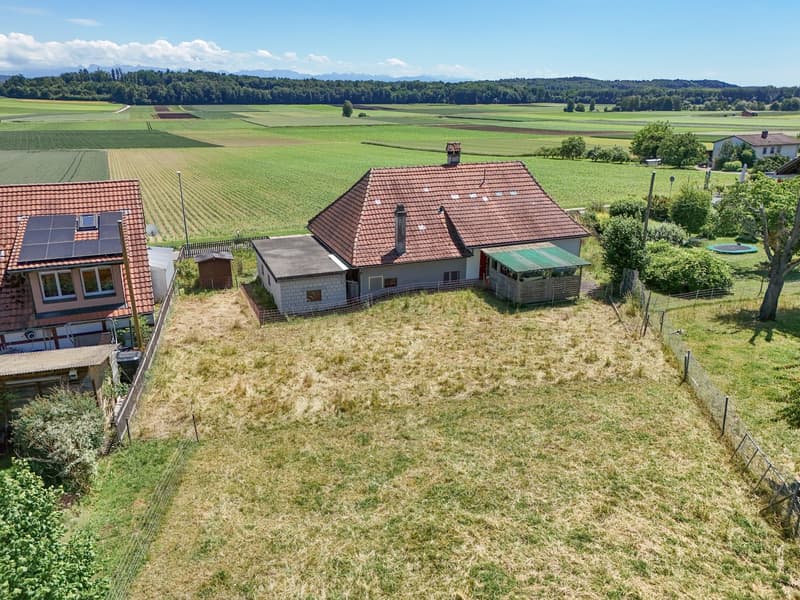 Attraktives Bauland in Täuffelen – 1'567 m² mit Aussicht und Gelegenheit Neues entstehen zu lassen (6)