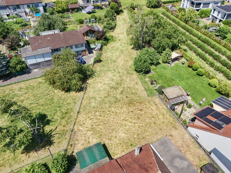 Attraktives Bauland in Täuffelen – 1'567 m² mit Aussicht und Gelegenheit Neues entstehen zu lassen (8)