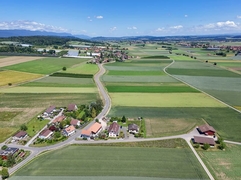 Attraktives Bauland in Täuffelen – 1'567 m² mit Aussicht und Gelegenheit Neues entstehen zu lassen (14)