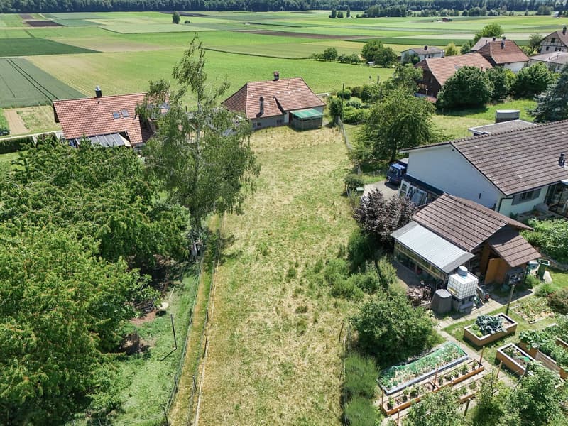 Attraktives Bauland in Täuffelen – 1'567 m² mit Aussicht und Gelegenheit Neues entstehen zu lassen (7)