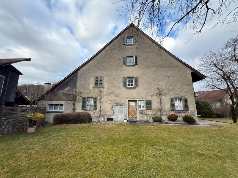 Charmantes 7.5-Zimmer-Bauernhaus in Winkel zu vermieten (2)