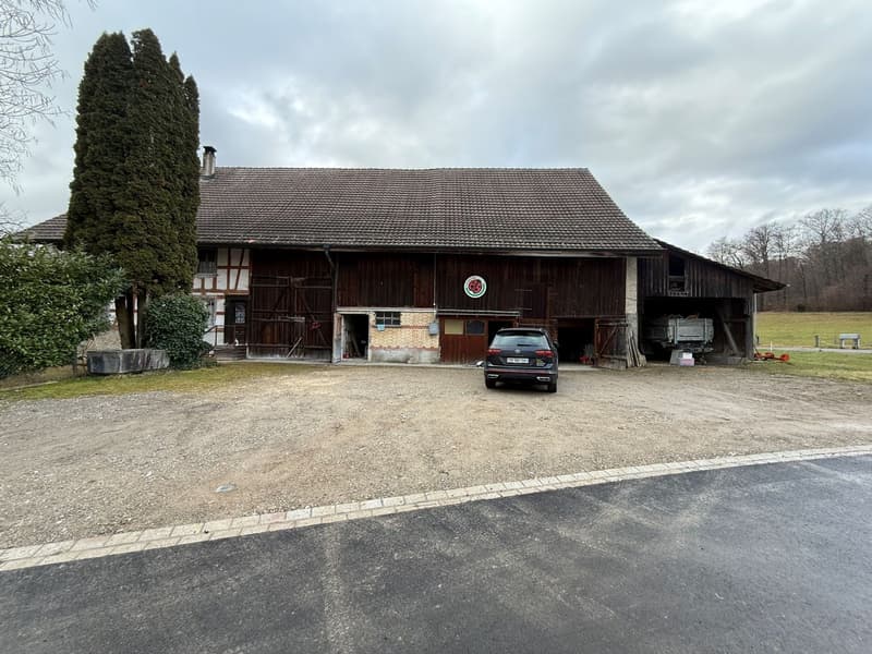 Charmantes 7.5-Zimmer-Bauernhaus in Winkel zu vermieten (4)