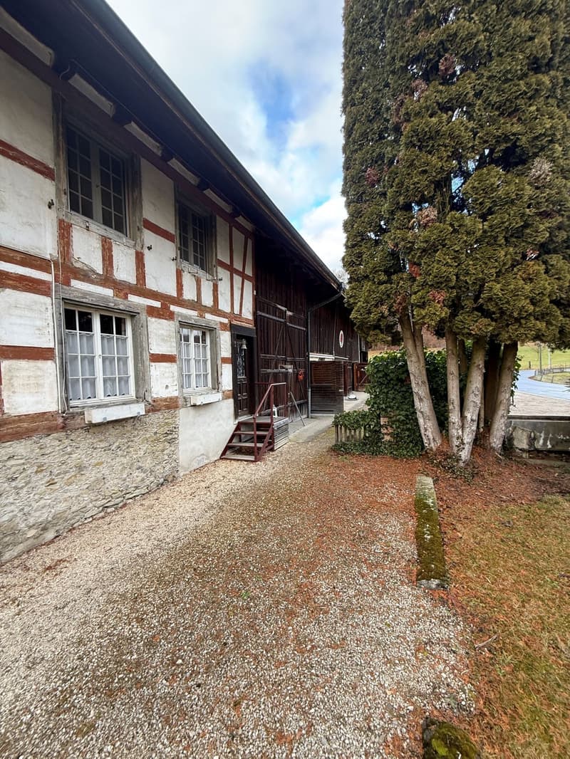 Charmantes 7.5-Zimmer-Bauernhaus in Winkel zu vermieten (3)
