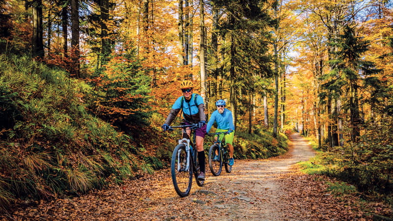*** Ferien PERLE nahe den Bergbahnen und Skibus direkt vor der Haustüre *** (17)